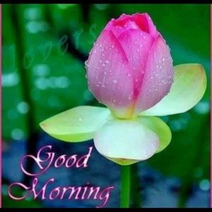 Meet your Posher, Kat